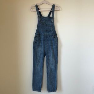 Free People Denim Overalls